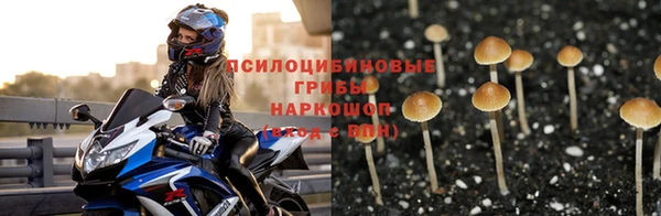 твердый Абинск