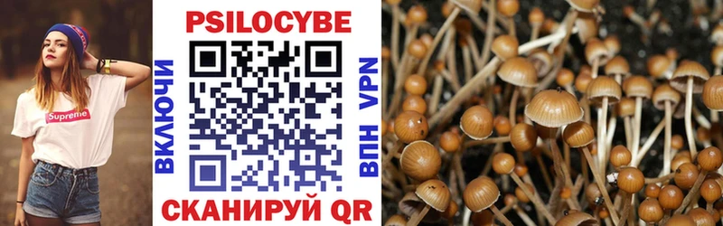Псилоцибиновые грибы Psilocybe  закладки  Бирюсинск 